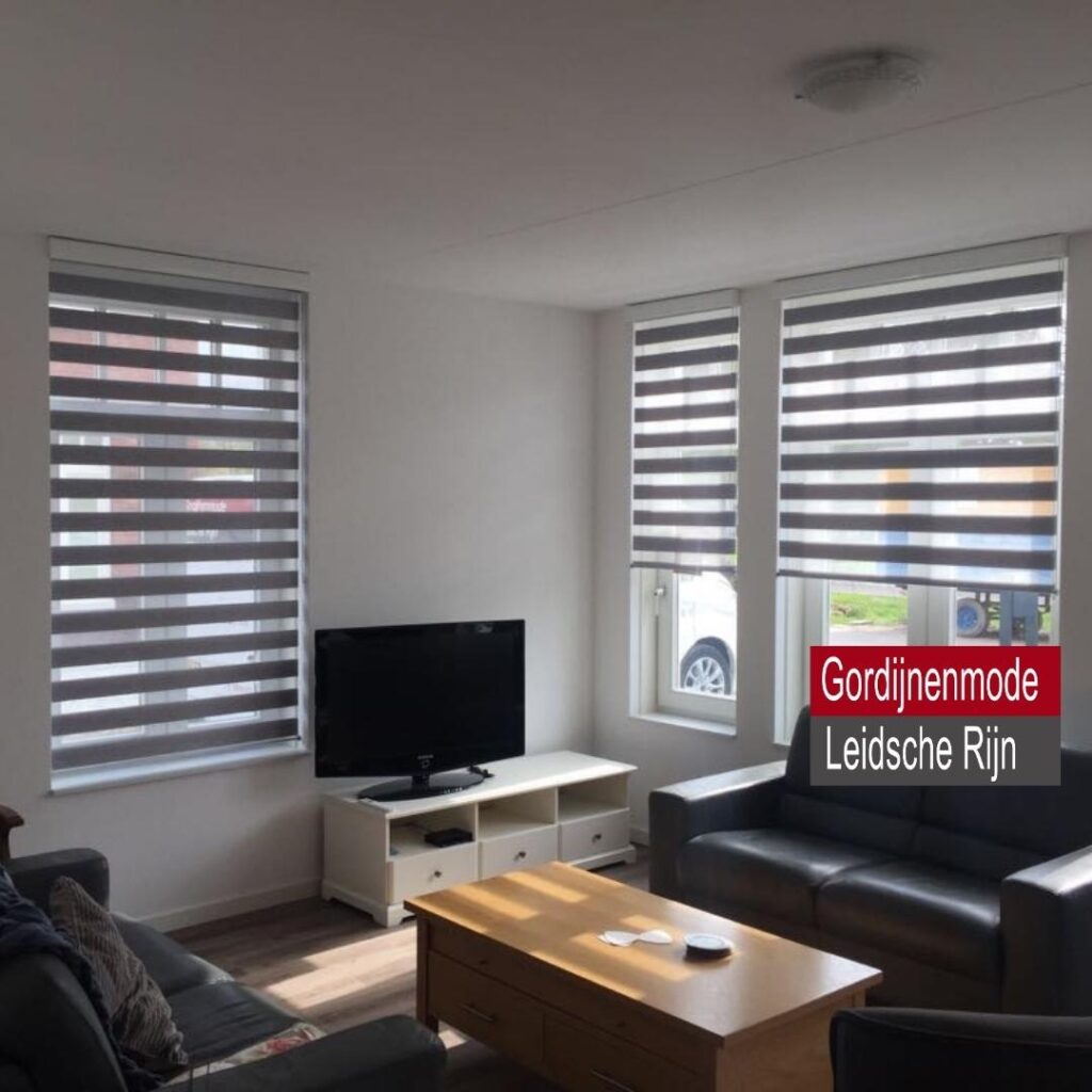 Gordijnenmode Leidsche Rijn De Meern - Duo-Rolgordijn grijs